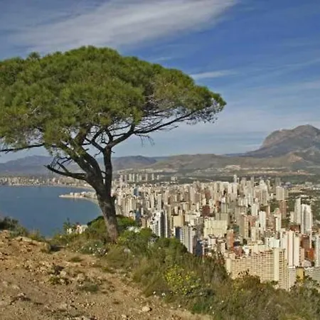 Lägenhet In Benidorm, Alicante 103093 By Mo *